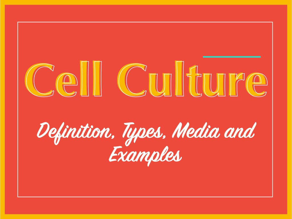 Cell culture: Definition, types, media and examples